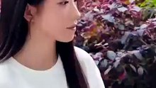 Miss Wen's Rules for Secretly Loving Someone [Full Movie] [Full Movie]