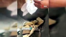 Yine bir fırın denetimi, yine mide bulandıran görüntüler! Fırın değil sanki çöplük!