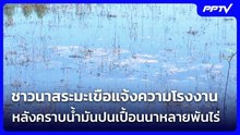 ชาวนาสระมะเขือแจ้งความโรงงาน หลังคราบน้ำมันปนเปื้อนนาหลายพันไร่ | จับข่าวคุย | 20 ต.ค. 69