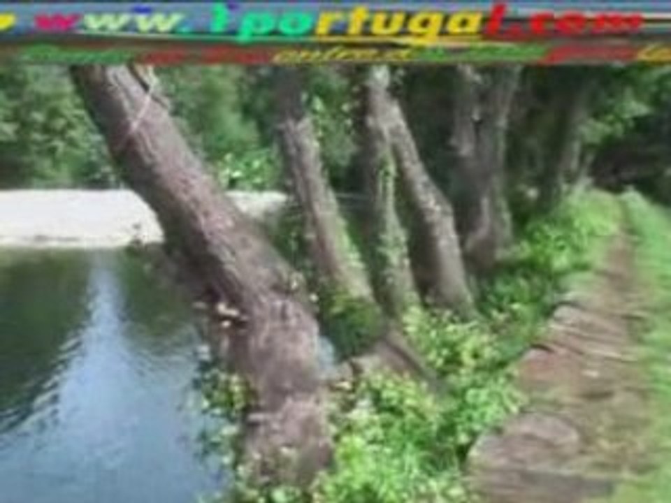 Concentracao de motas de - Gois- agosto 2008 - 2