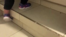 A toddler's daily stair climb transforms into a routine with her furry companion