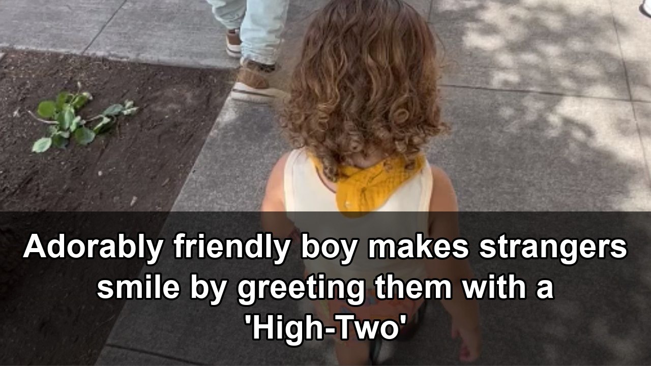 Adorable toddler makes strangers smile by giving everyone a high-two ...