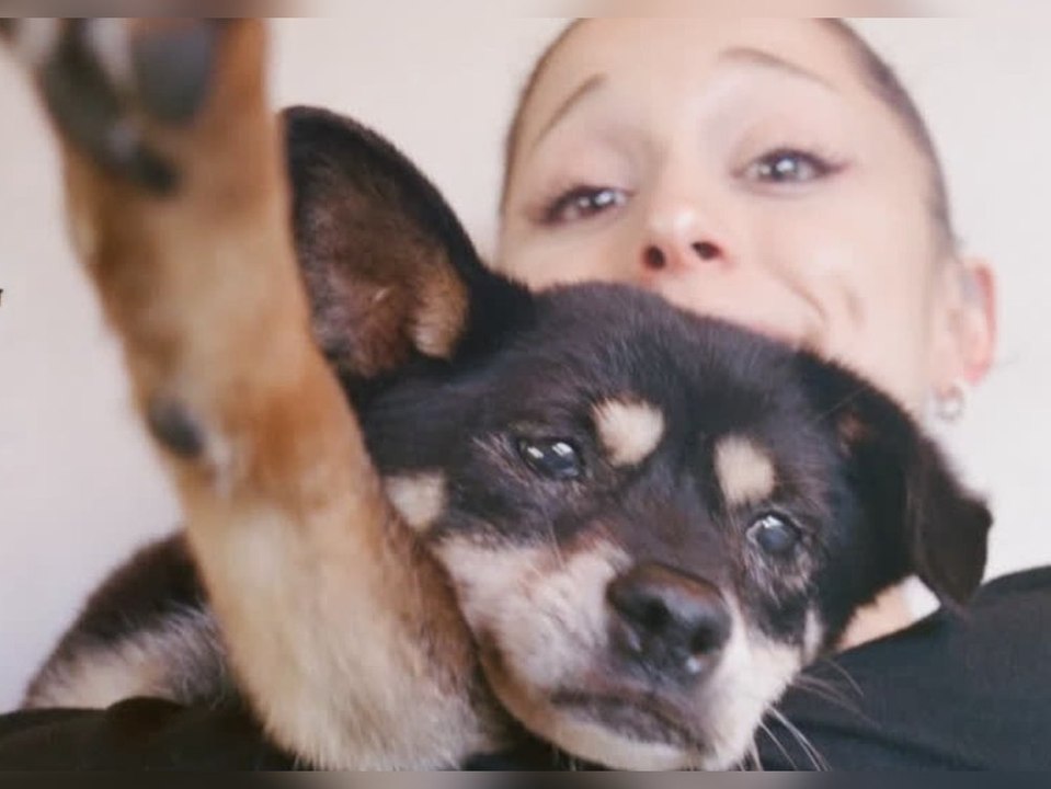 Ariana Grande trauert um ihre Hündin Coco