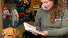 Volunteer Reads Aloud to Calm Shelter Dogs — Puppy Crawls Into Her Lap 🥹🐾