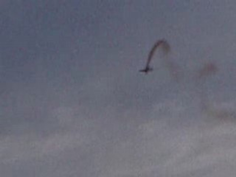 Avion