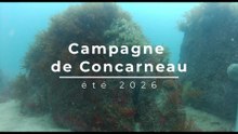 Best of Concarneau 2026