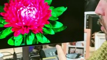 SOCIAL STORIA - Gigabyte MONITOR TANDEM OLED FINALE