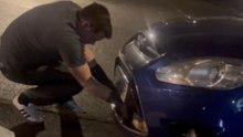 Driver Rescues Deer Trapped in Front of Vehicle