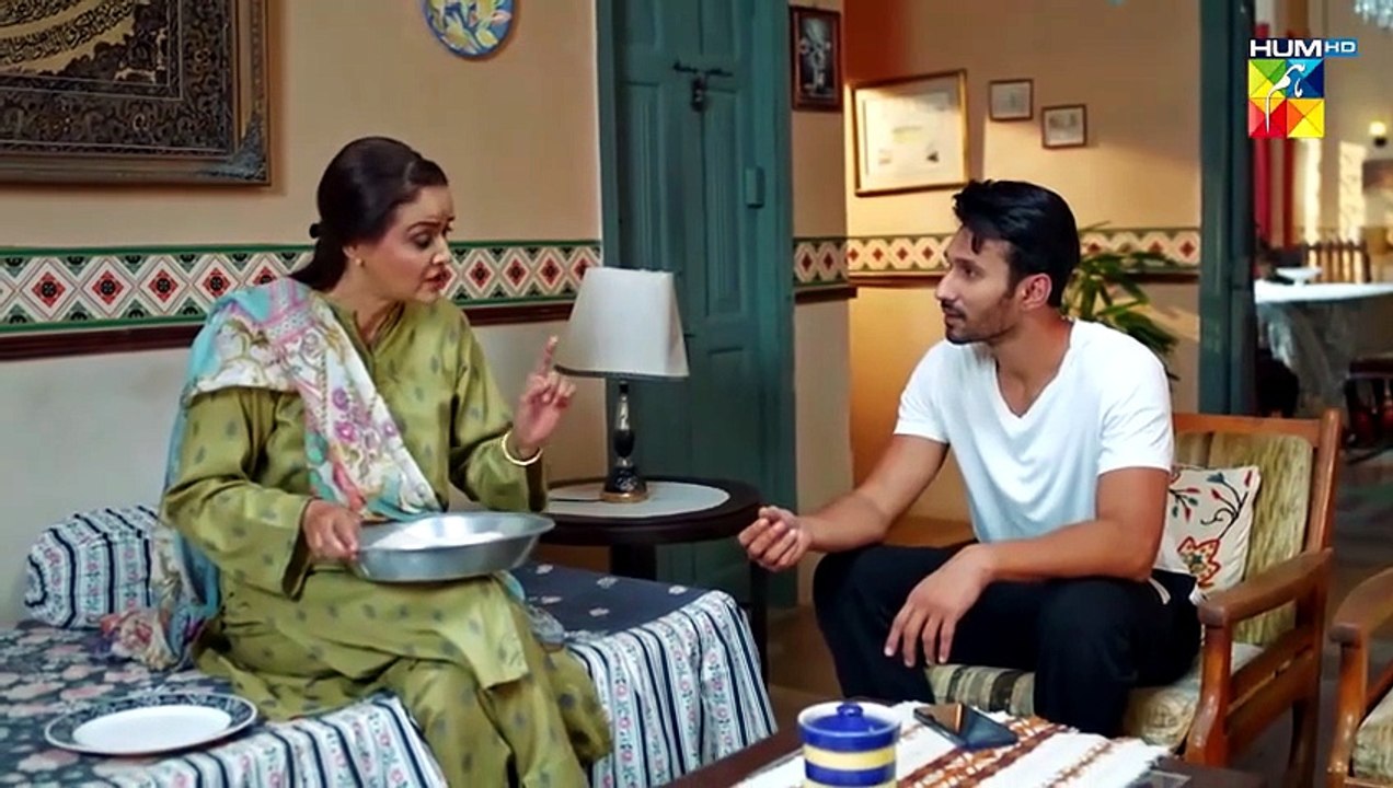 Judwaa - Episode 26 - 4th April 2025 [ Aina Asif Adnan Raza Mir ] - HUM ...