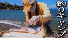 地磯で10年ぶりの釣り、青物を仕留めてその場で捌く究極のCatch＆Cook
