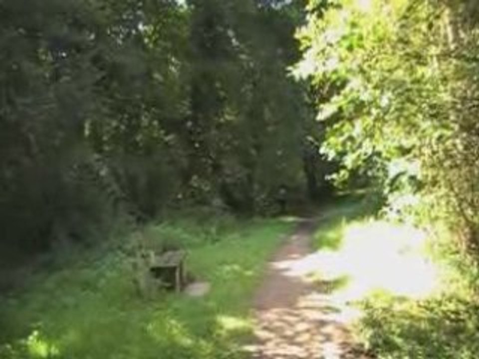 Le long de l'eau bourde
