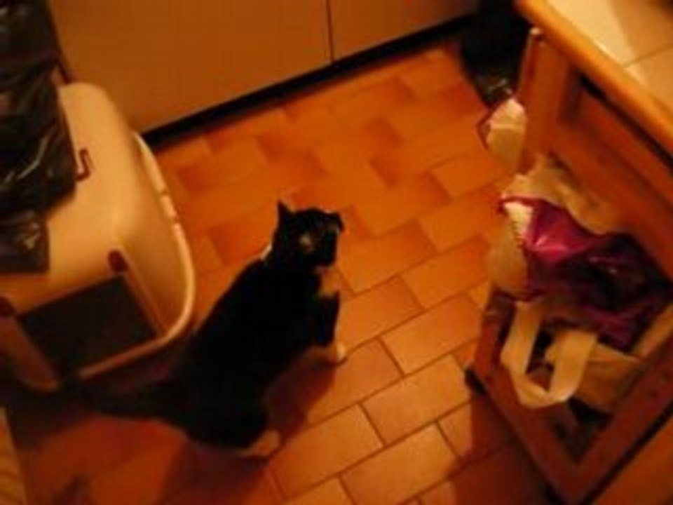 L'heure de la bouffe, Partie 2