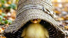 🚨 **PERSONNES TOXIQUES ET MAUVAISES INTENTIONS : QUAND LA MÉCHANCETÉ DÉPASSE L’ENTENDEMENT… À MÉDITER !** ⚠️🤔