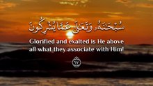 ﴿ وَما قَدَرُوا اللَّهَ حَقَّ قَدرِهِ وَالأَرضُ جَميعًا قَبضَتُهُ يَومَ القِيامَةِ ﴾