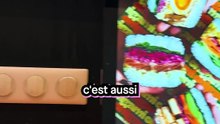 Des Sandwichs façon Suhsi Concept bobo ou idée de génie