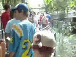 VENDREDI 29 AOUT -  ZOO SAN DIEGO