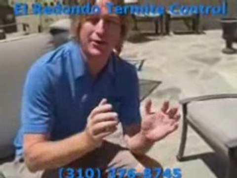 Termite Company in Torrance Ca El Redondo Beach Termite ...