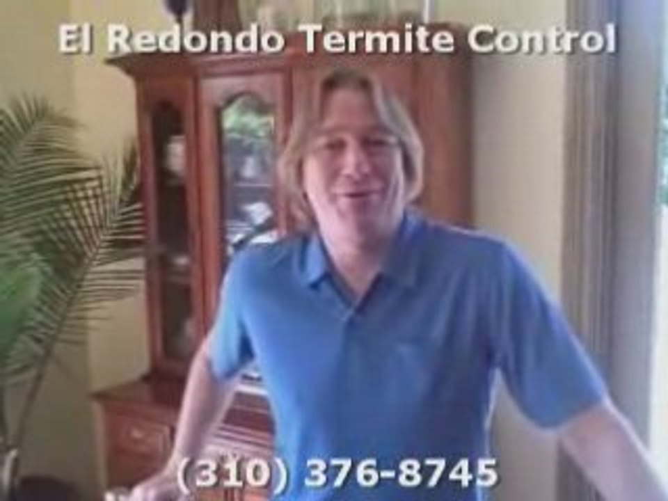 Find Termite Company in Santa Monica El Redondo Termite ...