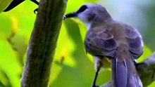 Together Through Every Season #birds #nature #wildlife #animals
