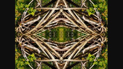 Sculptures-Vivantes_10-avril-2008_2eme-serie_29-08-2008_cut_