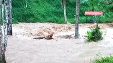 ใต้อ่วม ! เจอฝนถล่ม-น้ำป่าหลาก อ.ธารโต จ.ยะลา