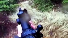 Violente charge d'un sanglier