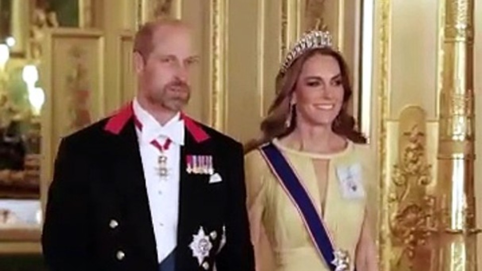 Prince William and Princess Kate wow at state banquet