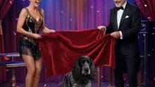 The magic show