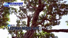 "오빠 나는 3억으로 만들 수가 있어!" 빅재미 선사하는 유정의 내시경 현장?