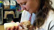 Tiny Rescue Puppy Takes Its First Bottle Feed 🍼🐾