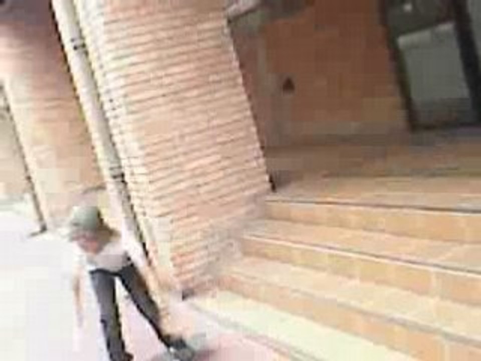 leo flip 4