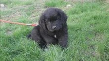 Boby 0 - 6 month