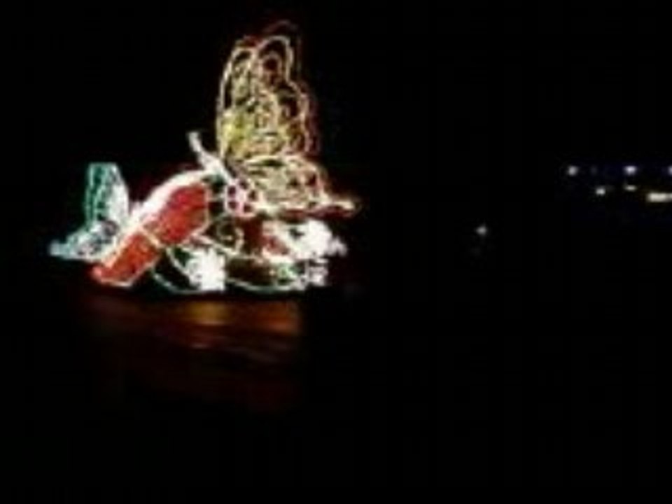 Video005