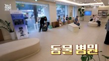 목줄 훈련과 간식 보상 불가?! 모든 것을 다 잃은 강형욱ㅠㅠ