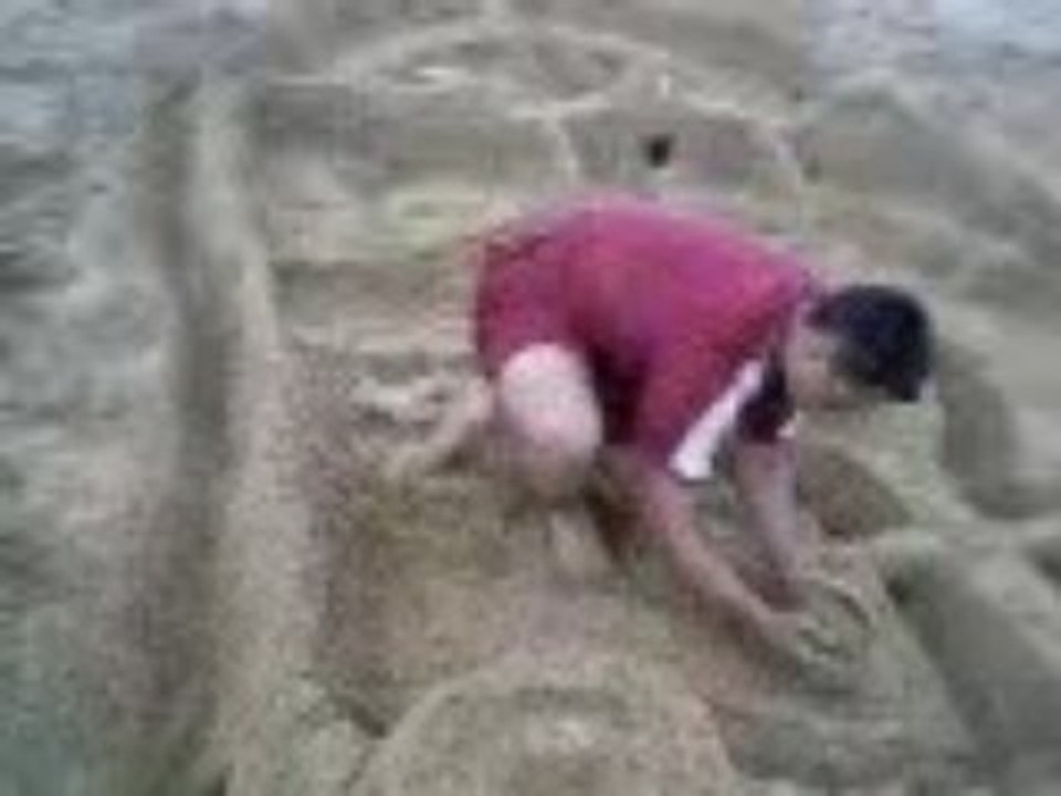 Chato 2 sable
