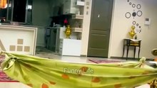 Most Funny cat moment in camera captured 🐈🐈🐈🐈