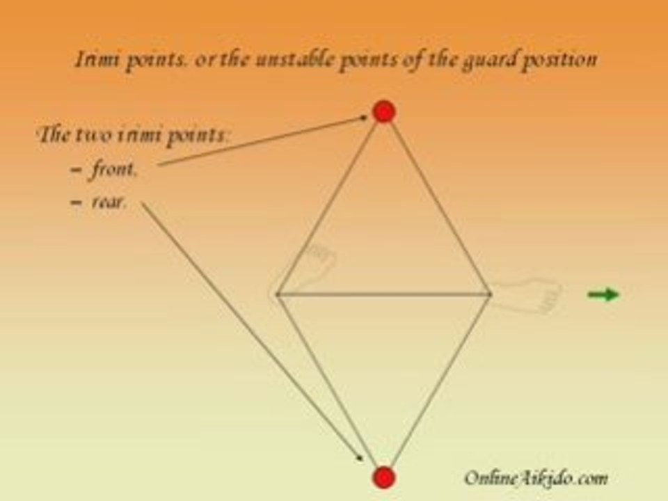 Aikido's guard position