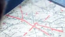 The Survivorship Bias
