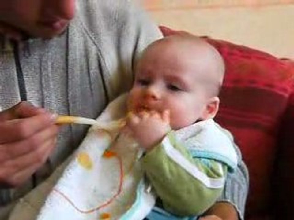 purée vivi