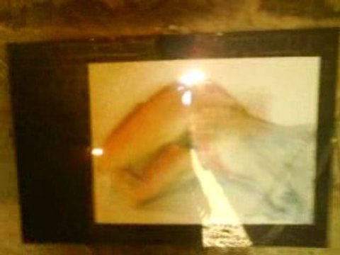 exposition jardins secrets 4