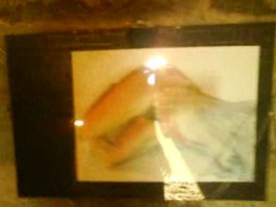 exposition jardins secrets 4