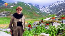 STARÊN AZADIYÊ -  Dîcle Goyî, Sosîn Alkut