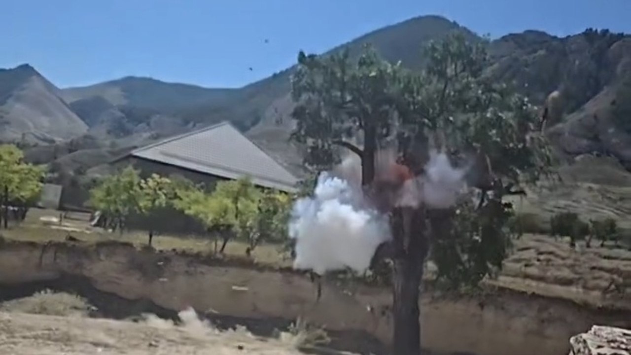 Mysterious Shot Causes Violent Explosion On Standing Tree - video ...