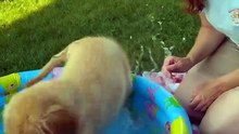 Rescue Pup's First Swim in a Kiddie Pool 🐾
