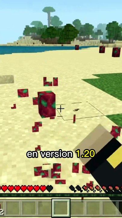 Comment OBTENIR un SNIFFER sur MINECRAFT ? 🦖 - Vidéo Dailymotion