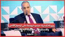 وزير الخارجية- مصر حريصة على ترسيخ الأمن والاستقرار في منطقة البحر الأحمر