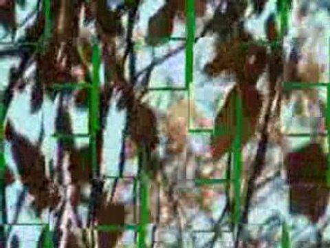 MOULAY BOUAZZA MONTAGNE