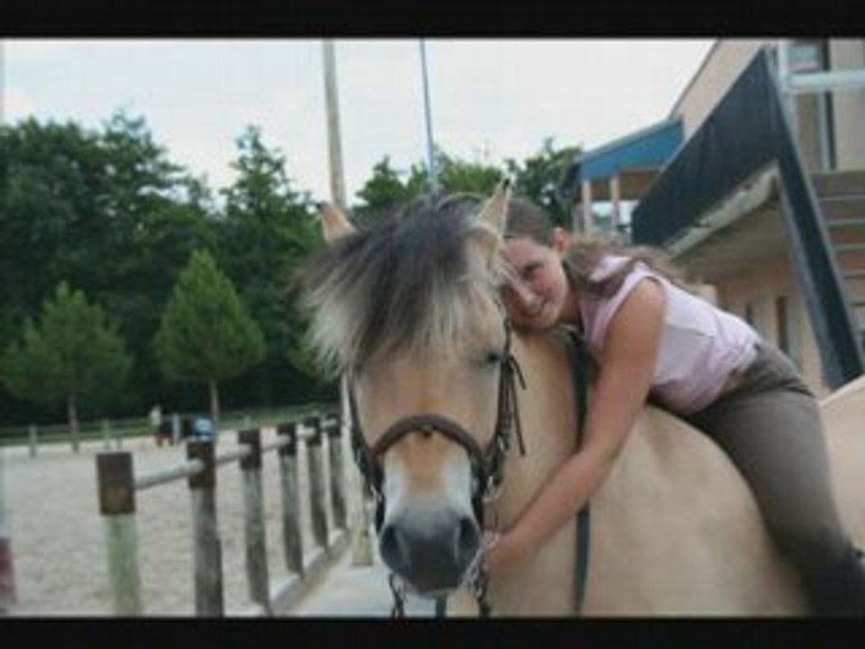 LES CHEVAUX_0001