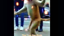 Funny dancer monkey 🐒