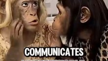 😱 The Strangest Animal Communication You’ve NEVER Seen! 🐒